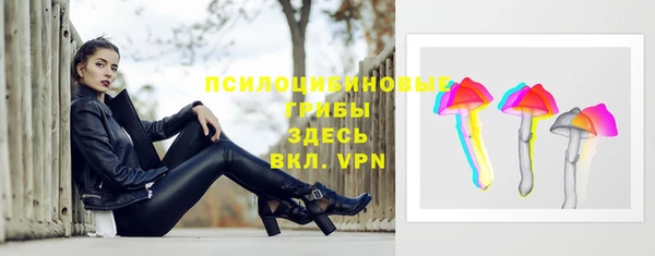стафф Алексин