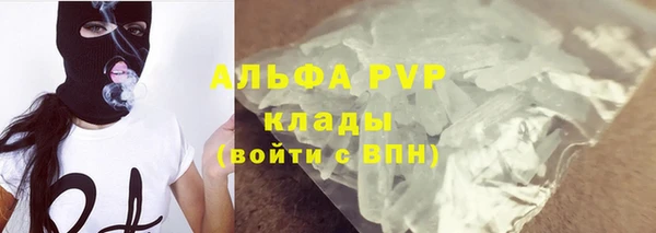 стафф Алексин