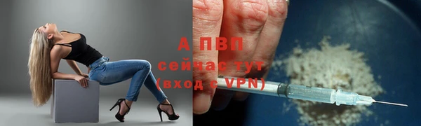 стафф Алексин