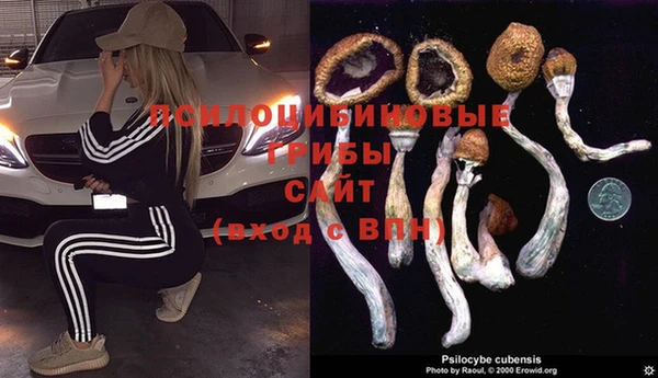 стафф Алексин